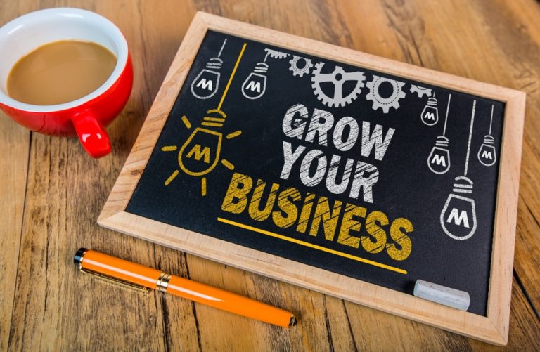 How a Professional Website Helps Grow Your Business